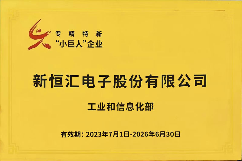 專精特新”小巨人“企業(yè)